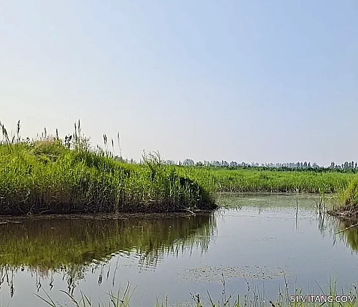 鞍山景点:大麦科湿地保护区