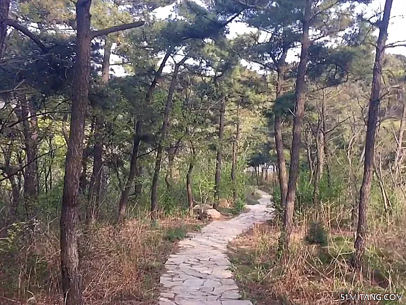 大连景点:景山近邻公园