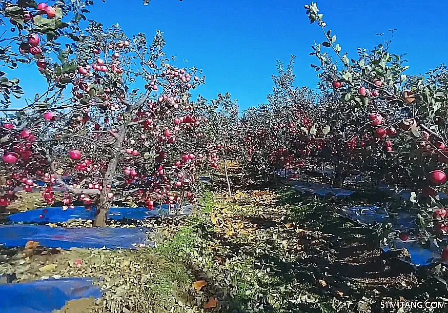 铁岭景点:裕泉生态谷