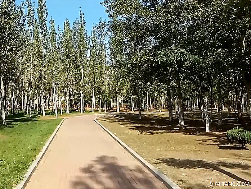 营口景点:绣龙森林公园
