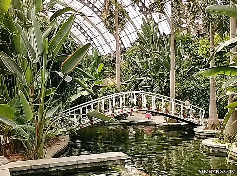 天津旅游景点:热带植物观光园
