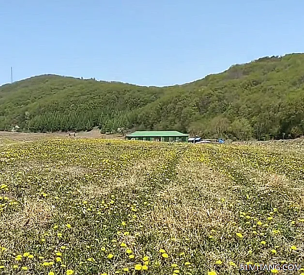 抚顺景点:龙王庙仙草园