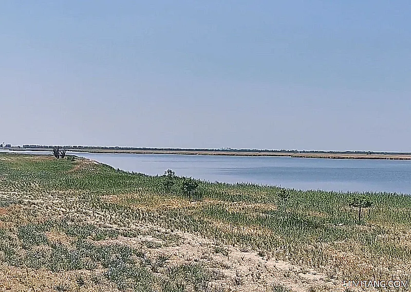 天津旅游景点:七里海湿地保护区
