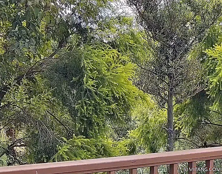 大连景点:菊香园农家院