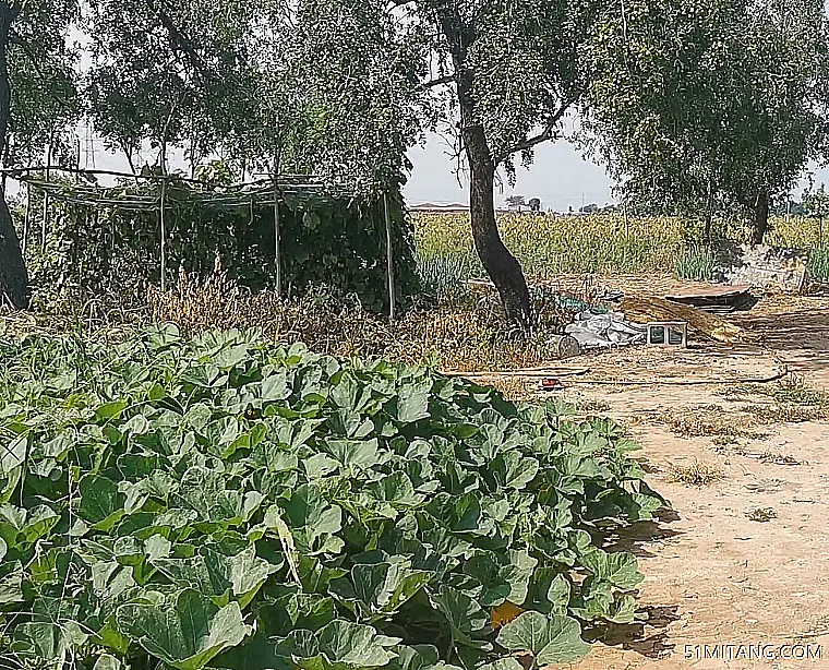 天津旅游景点:魏捷农家院