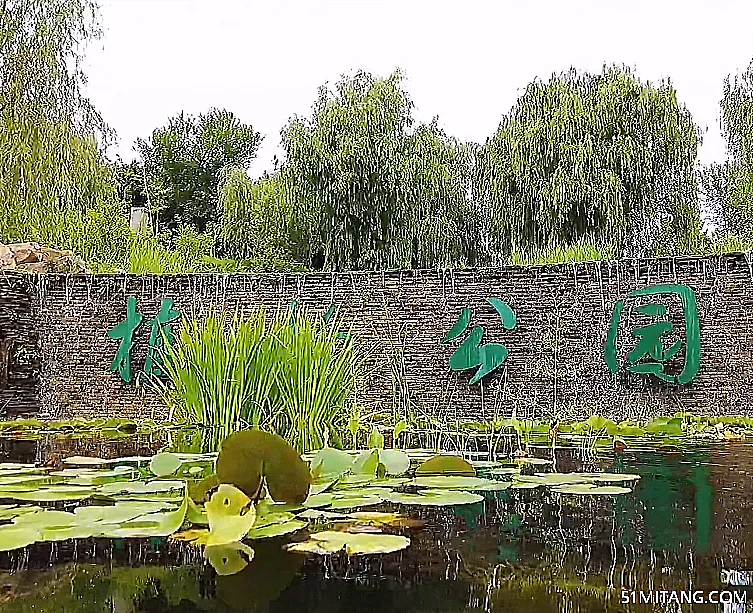 大连景点:董家沟植物园