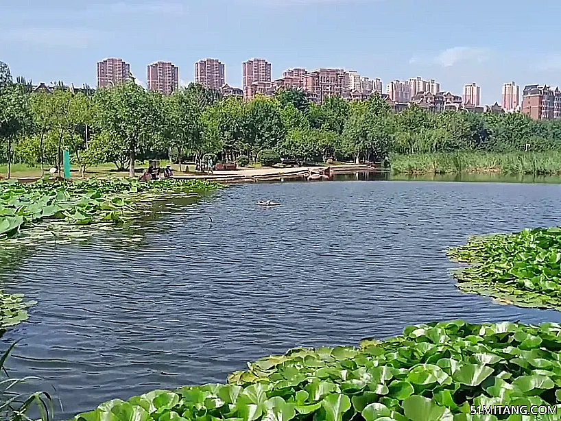 大连景点:前关湿地公园