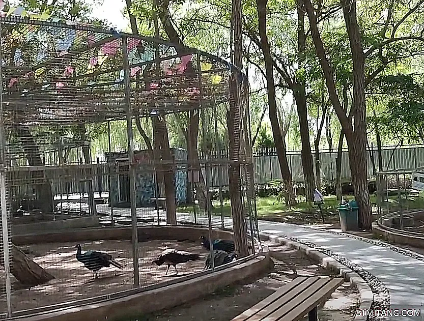 鞍山景点:千山百鸟园