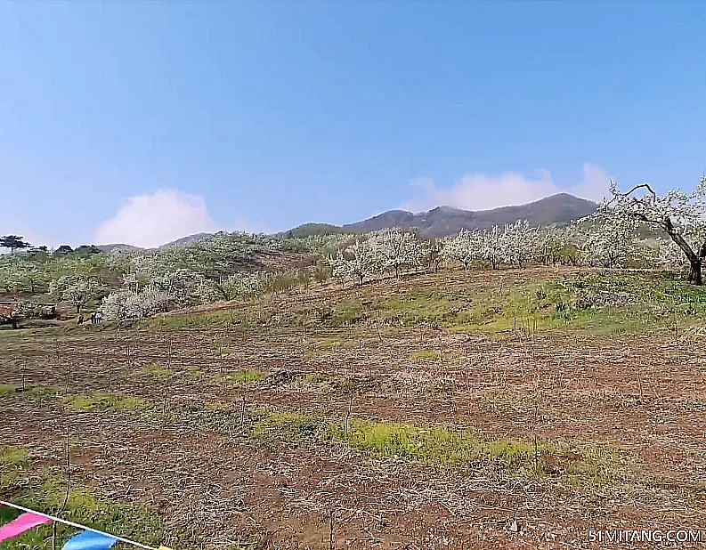 抚顺景点:梨花谷风景区