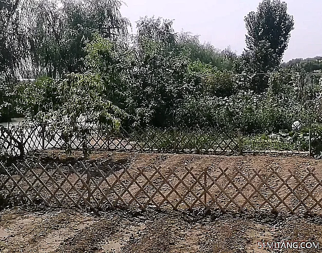 天津旅游景点:鸿福居农家院