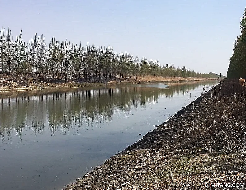 天津旅游景点:大黄堡湿地