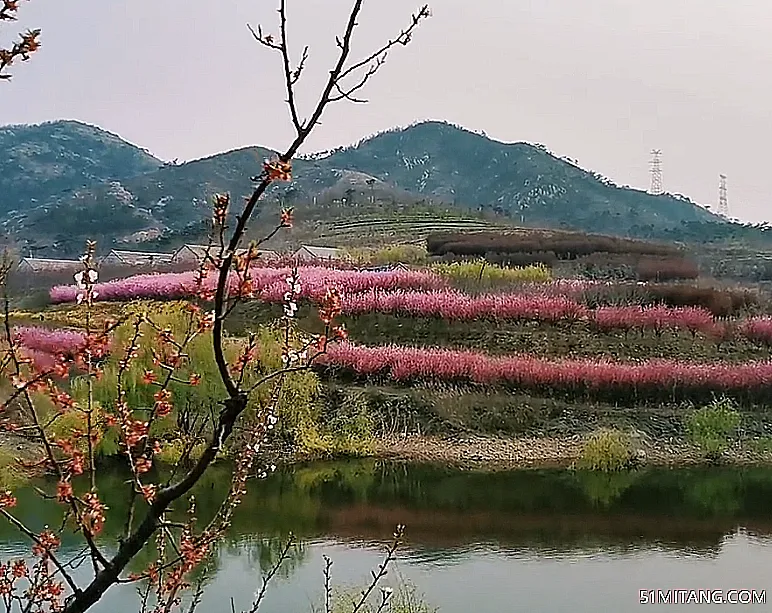 大连景点:金鑫生态园