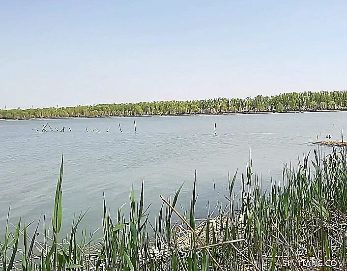 盘锦景点:月牙湾湿地公园