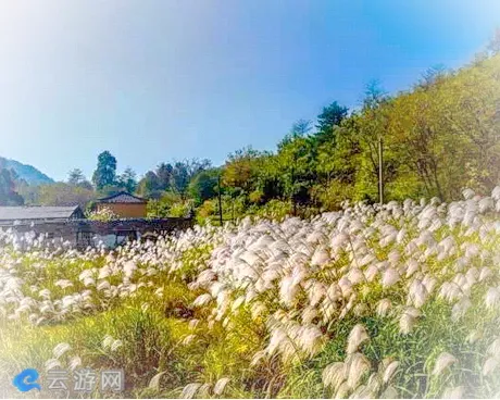 石台醉山野度假区