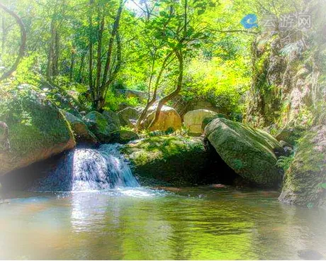 鲁山天龙池风景区