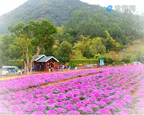 福建十里蓝山景区