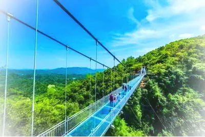 黄陂区