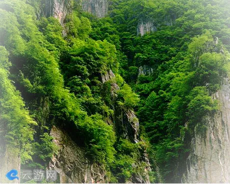 栾川白石崖风景区
