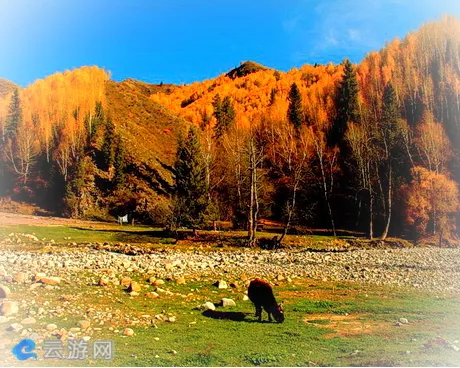 博乐哈日图热格风景区