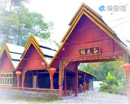 腾冲樱花谷景区