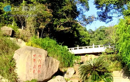 三元格氏栲景区