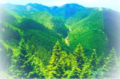 景泰寿鹿山景区