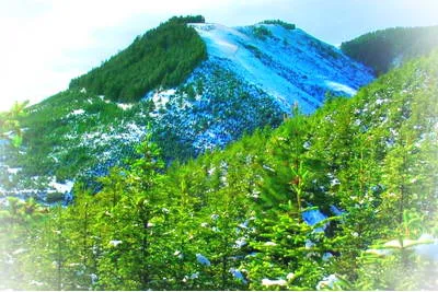 景泰寿鹿山景区