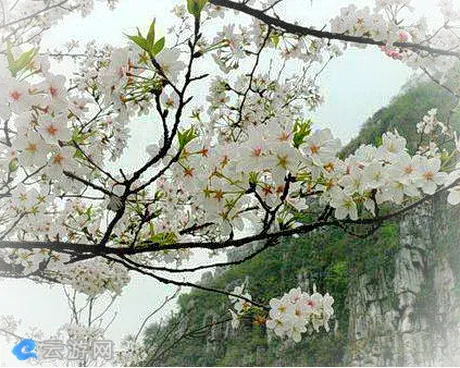 南溪山公园