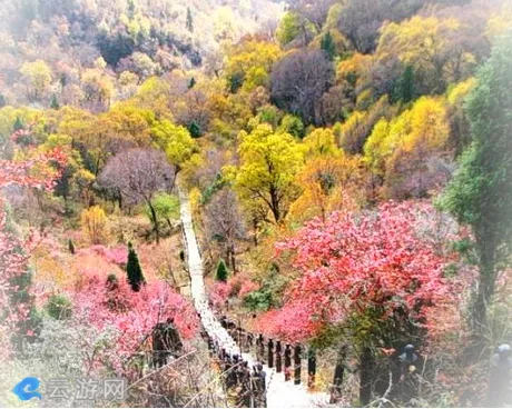 永登吐鲁沟国家森林公园