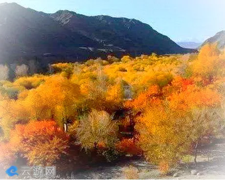 哈密苇子峡蝴蝶谷