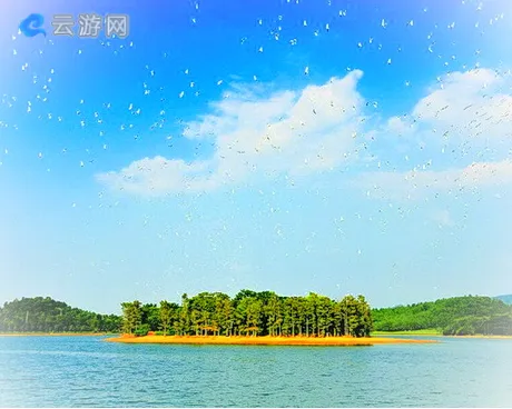 佛山美的鹭湖森林度假区
