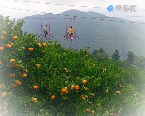 南安印山国家森林康养基地