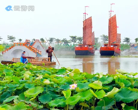 泗洪洪泽湖湿地公园