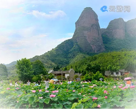 赣州赛石城花乐园