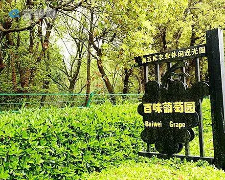 松江五厍农业休闲观光园