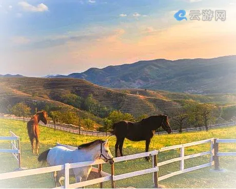 沂源沐心双马山旅游度假区