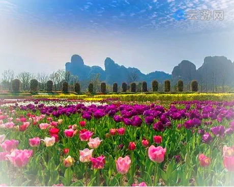 鹰潭龙虎山花语世界景区