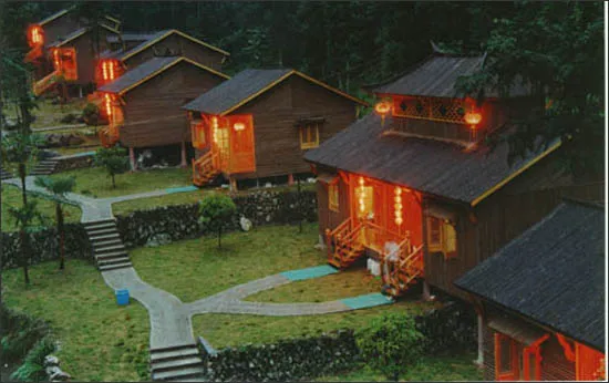 丽水松阳箬寮原始林风景区