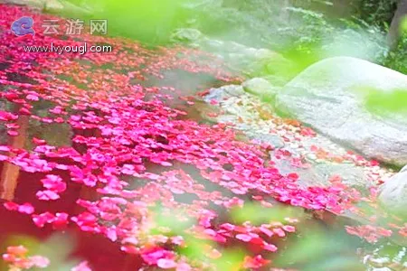 阳宗海热水河温泉避寒避暑
