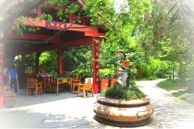 绵阳晨曦森林度假村