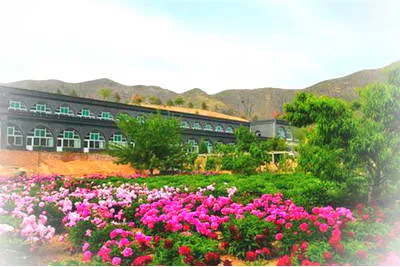 定襄凤凰山旅游区