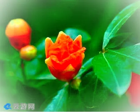 烈山区榴园村