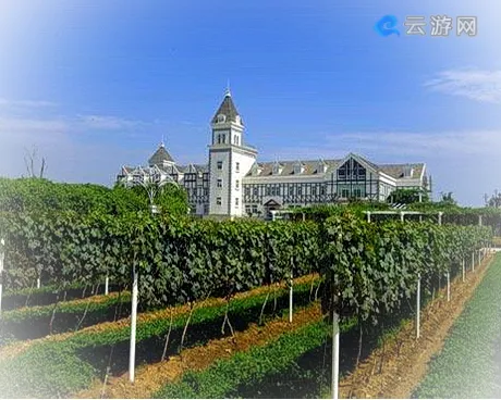 烟台张裕国际葡萄酒城