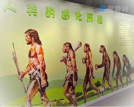 郑州生命与健康科学馆
