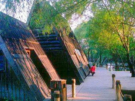 扬州蜜蜂博物馆