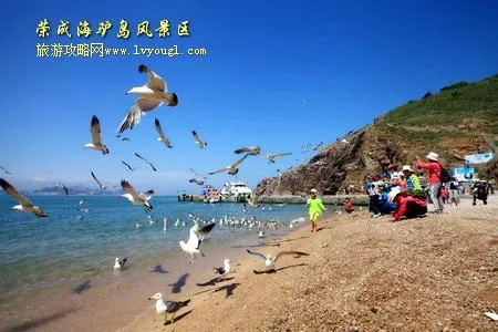 山东荣成海驴岛风景区