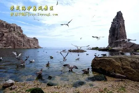 山东荣成海驴岛风景区