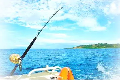 三角洲岛环海骑行