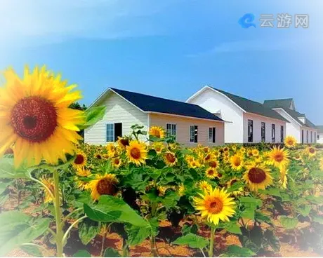 海阳连理岛旅游度假区