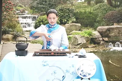 青茶茶艺表演